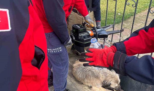 Balıkesir'de bahçe kapısına sıkışan köpek kurtarıldı