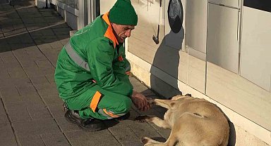 Belediye çalışanının köpekle keyifli vakit geçirmesi içleri ısıttı