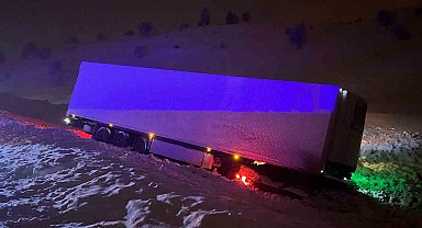 Bingöl'de balık yüklü tır yoldan çıktı: 1 yaralı