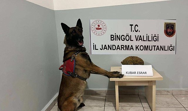 Bingöl'de uyuşturucu ve aranan şahıslara yönelik çalışma