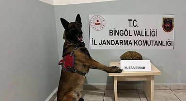 Bingöl'de uyuşturucu ve aranan şahıslara yönelik çalışma