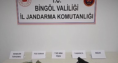 Bingöl'de uyuşturucu ve ruhsatsız silah operasyonları