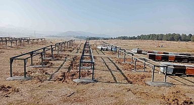 Bingöl'deki Bal Ormanları'na kovan sehpası kuruldu
