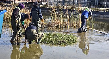 Bursa Büyükşehir'den Gökdere Millet'e bilimsel dokunuş