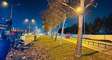 Bursa'da çınar ağaçlarına kış bakımı