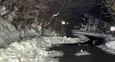 Çakal sürüsü Trabzonlu ile yolda karşılaşırsa...