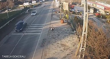 Çatalca'da bir işletmeden kaçan deve kuşları ortalığı birbirine kattı