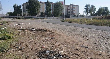 Cizre'de okul yollarında alkol şişeleri