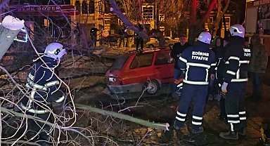 Çürüyen ağaç otomobilin üzerine devrildi