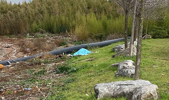 Denizde elleri ve ayakları bağlanmış erkek cesedi bulundu