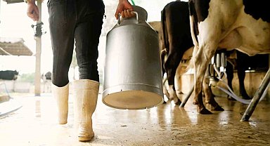 Denizli'de soğuk süt fiyatı 17,55 TL olarak belirlendi.