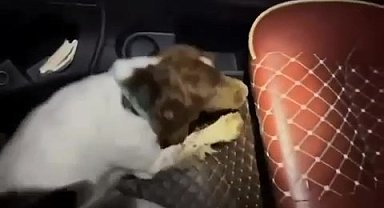 Denizli'de zehir tacirlerine operasyon: 5 tutuklama