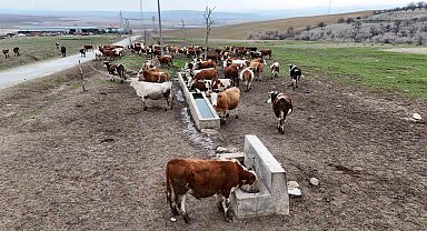 Devlet destekleri ile tarım ve hayvancılık işletmeleri büyüyor: "Hem üretim kapasitemiz hem de kar marjımız arttı"