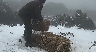Dilek Yarımadası Milli Parkı'nda doğal yaşam için yem bırakıldı