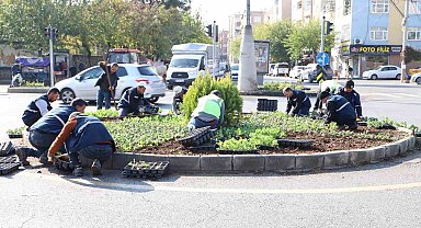 Diyarbakır'da 1 milyon 152 bin bitki dikildi