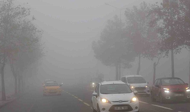 Diyarbakır'da hava ve kara ulaşımına sis engeli