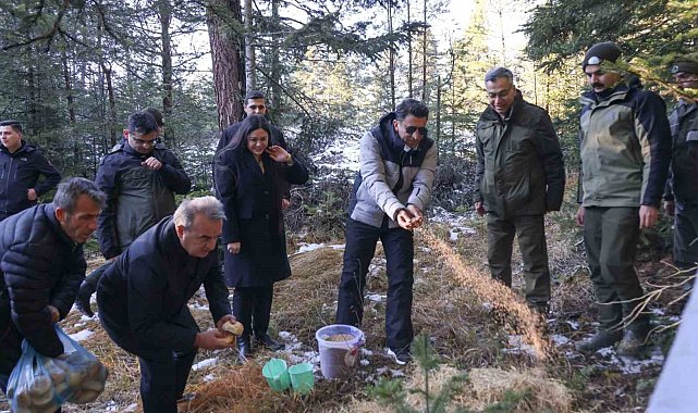 Doğada aç kalan yaban hayvanları için yem bıraktılar