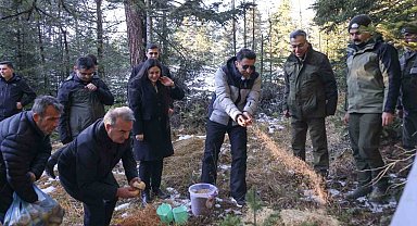 Doğada aç kalan yaban hayvanları için yem bıraktılar