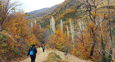 Doğaseverler özgün klima özelliği ile bilinen Koçak Kanyonu'na dikkat çektiler