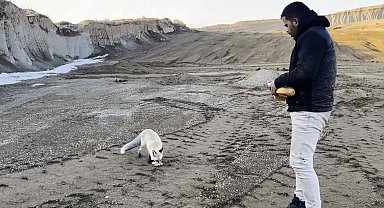 Dostluk kurdukları tilkiyi 2 yıldır her gün besliyorlar