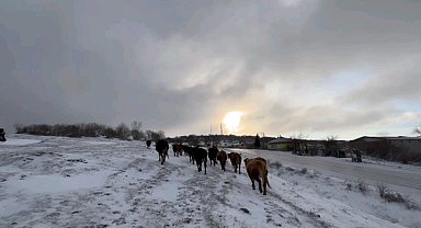 Edirneli besicilerin kar altında zorlu mesaisi