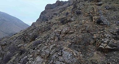 Elazığ'da dağ keçileri dronla görüntülendi