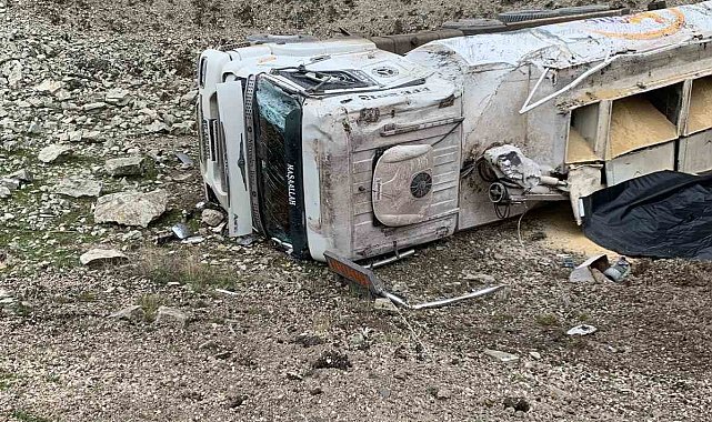 Erpiliç'in yem yüklü kamyonu devrildi: 1 yaralı