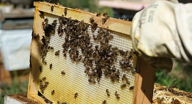 Erzincan ismini kullanan sahte balcılara yasal yaptırımlar uygulandı