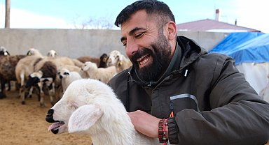 Erzincan'da yılın son kuzuları üreticilerin yüzünü güldürdü