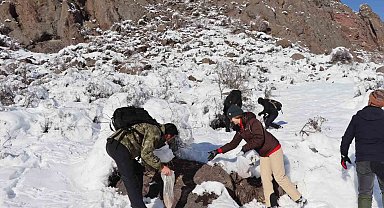 Erzurum'da doğaseverler soğuk havalarda keklikleri unutmadı