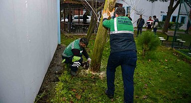 Esenyurt'ta teke böceğine karşı etkin mücadele