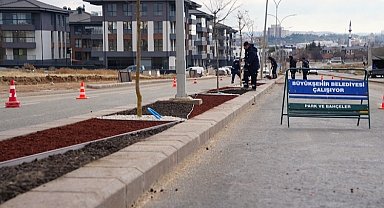 Eskişehir Büyükşehir'den 'kuru peyzaj' çalışması