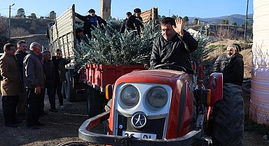 Eskişehir'de zeytincilik yaygınlaştırılacak... 17 bin Gemlik zeytin fidanı dağıtıldı