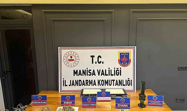 Evinde iklimlendirme sistemiyle kenevir yetiştirmiş