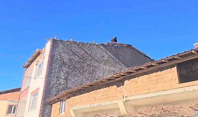 Fırtına Adıyaman'da çatıları uçurdu, ağaçları söktü
