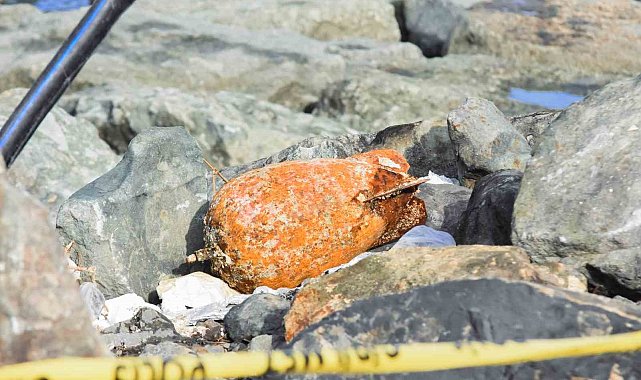 Fırtında dalgaların getirdiği deniz mühimmatı Rize'de karaya vurdu
