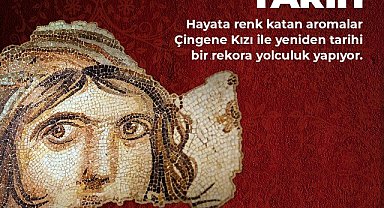 Gaziantep'e özgü baharatlar, bakliyatlar ve tahıllarla "Çingene Kızı" mozaiği