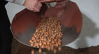 Giresun Ticaret Borsası Meclis Üyesi Kankaya: "Fındık piyasasında önümüzdeki dönemde fiyatların sabit kalacağı öngörülüyor"