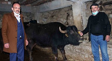 Giresun'da 289 manda işletmesine 8 milyon 422 bin 600 TL destek ödemesi yapıldı