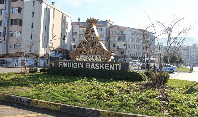 Giresun'da kavşaklar fındık ağaçları ile süslenecek