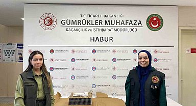 Habur Sınır Kapısı'nda 3 maymun yakalandı