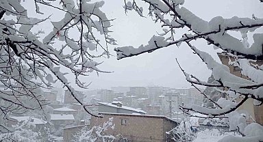 Hakkâri'de kar yağışı