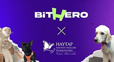 Haytap ve BitHero Kripto güçlerini birleştirdi