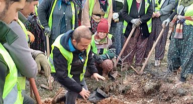Hisarcık'ta 43 bin 300 fidan toprakla buluştu