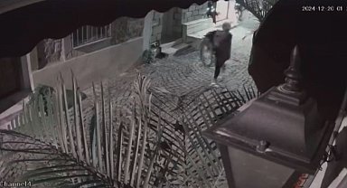 İzmir'de bir garip hırsızlık: Bu da yılbaşı süsü hırsızlığı