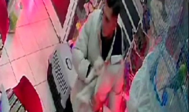İzmir'de şaşırtan hırsızlık: Cins kediyi montunun içine gizleyip çaldı