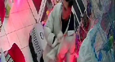 İzmir'de şaşırtan hırsızlık: Cins kediyi montunun içine gizleyip çaldı