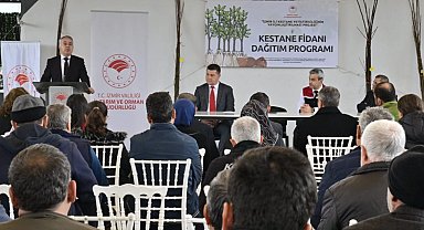 İzmir'de kestane üreticilerine hibe desteği: 2 bin 620 Gal arısına dayanıklı fidan!