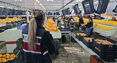 Jandarma ekipleri kadınları bilgilendirdi