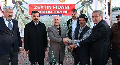 Kahta'da çiftçilere 70 bin zeytin fidanı dağıtıldı
